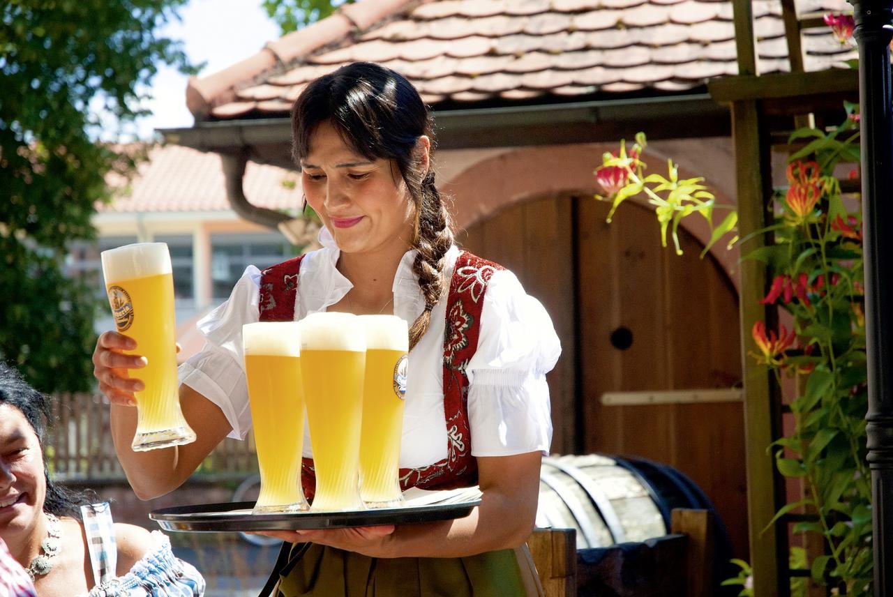 אוברנבורג אם מיין Landgasthaus Roemerhof מראה חיצוני תמונה